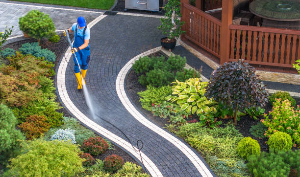 Best Roof Pressure Washing  in South Hooksett, NH